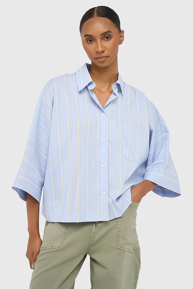 dames-blouse-gestreept-blauw-carl-janice-01.webp